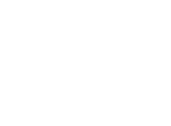 Pearlvision-Logo-717x528